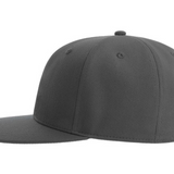 A cap with a straight brim TĒTIS.